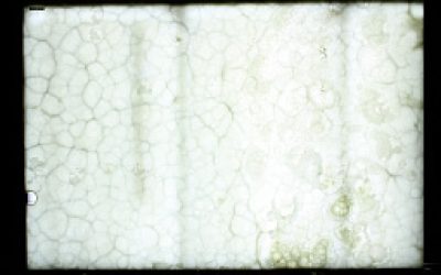 3653772cf647c702ae0c8511a1a1b1fa